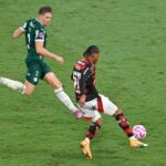 Palemrias x Flamengo