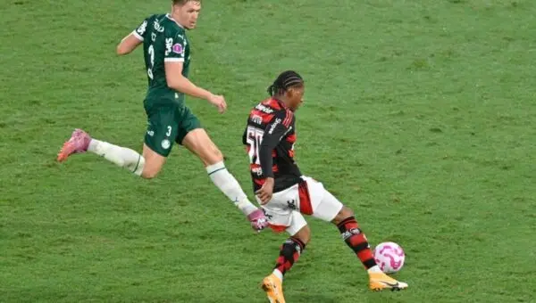 Palemrias x Flamengo