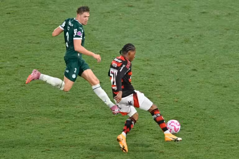 Palemrias x Flamengo