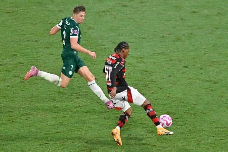 Palemrias x Flamengo