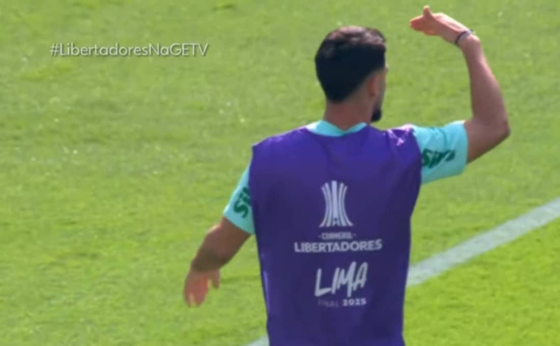 Palmeiras em Campo