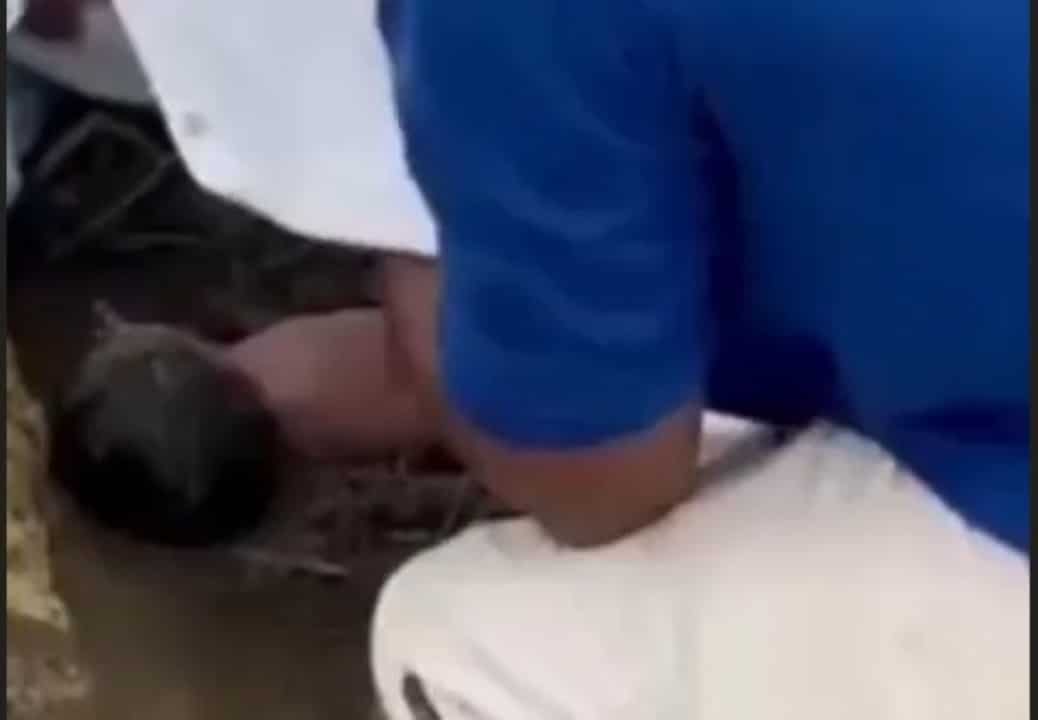 Recém-nascida é deixada na mata