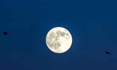 Super Lua