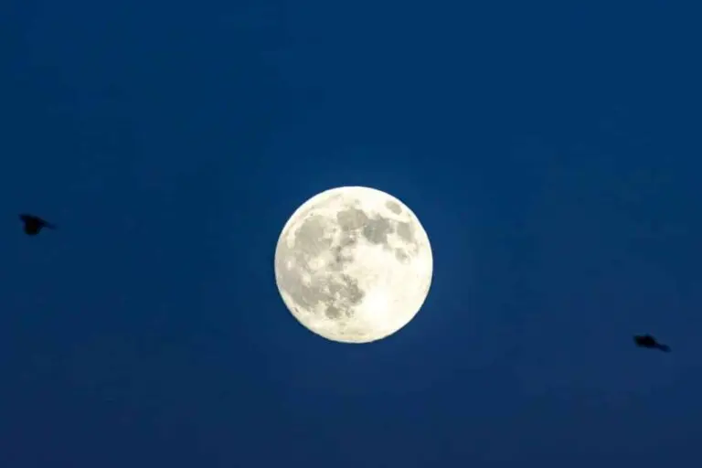 Super Lua