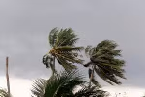 Defesa civil mantém alerta para temporais com ciclone no Sul e frente fria no Sudeste