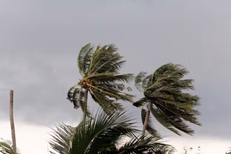 Ventos fortes, ciclone, ventania