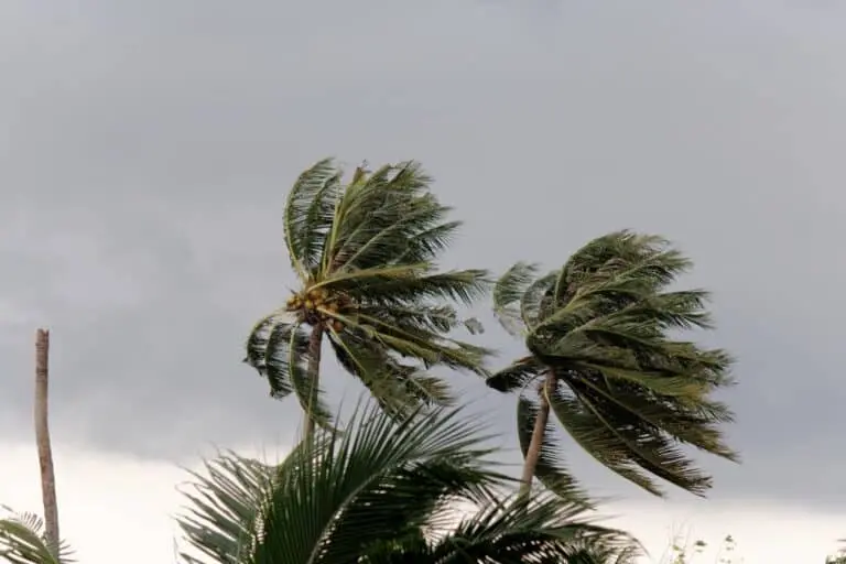 Ventos fortes, ciclone, ventania