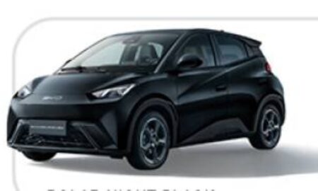 byd dolphin mini