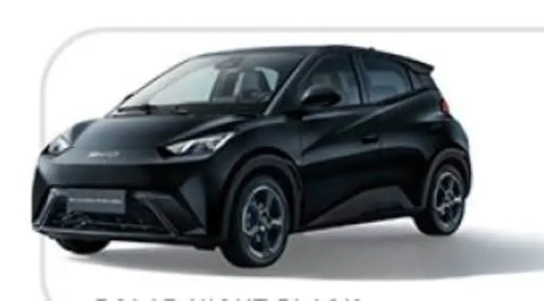byd dolphin mini