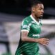 meia-atacante Allan Palmeiras