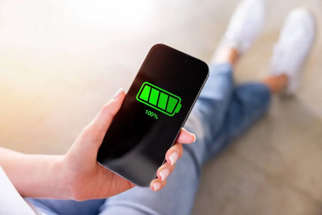 Cell Phone Battery