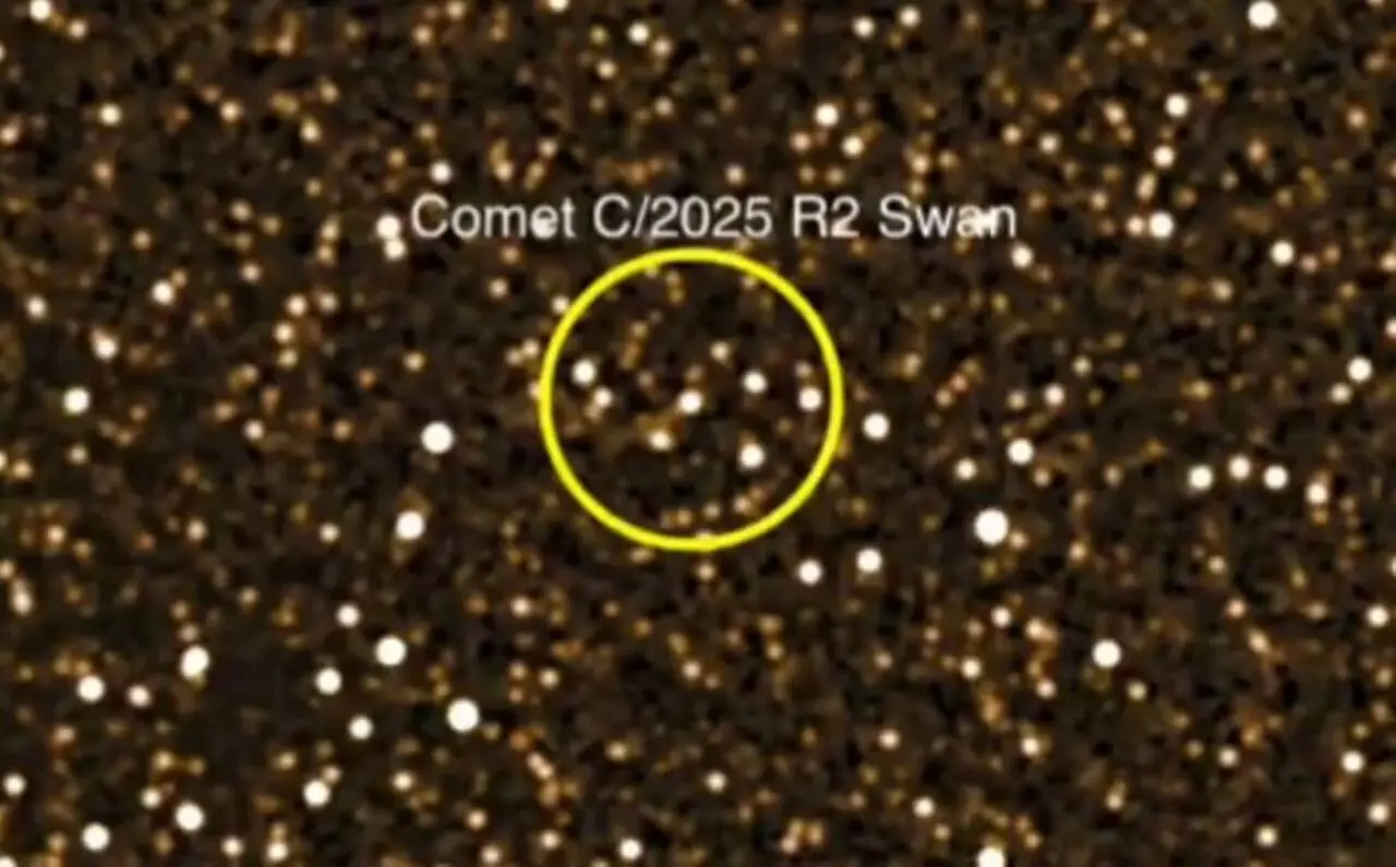 Cometa SWAN