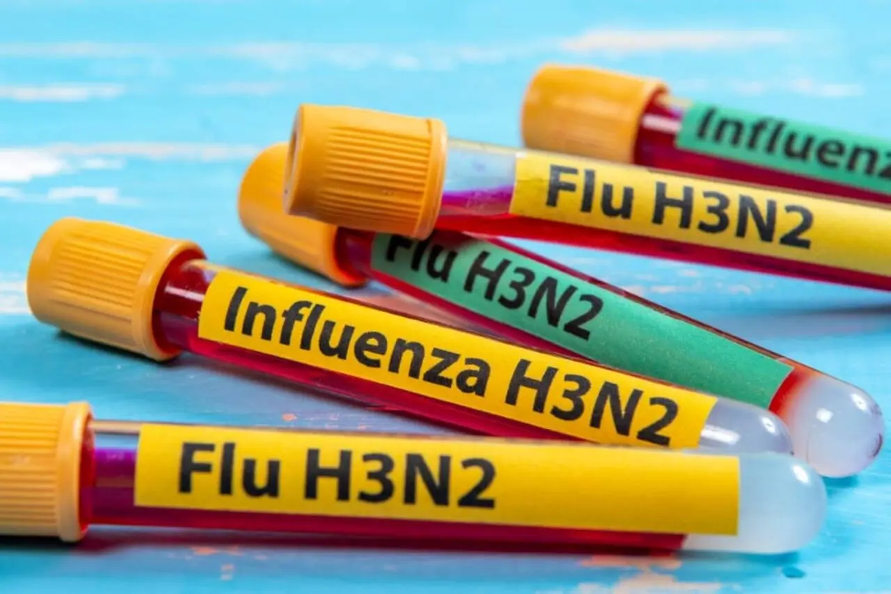 H3N2 gripe