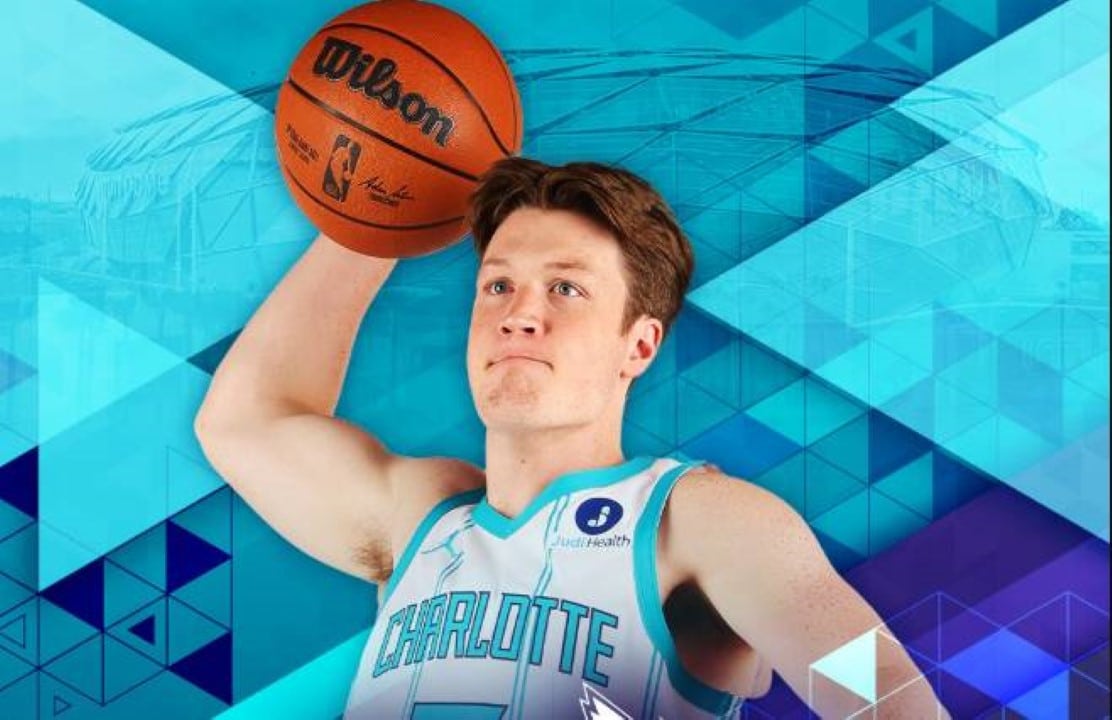 Hornets