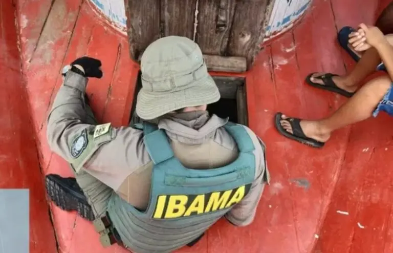 Ibama