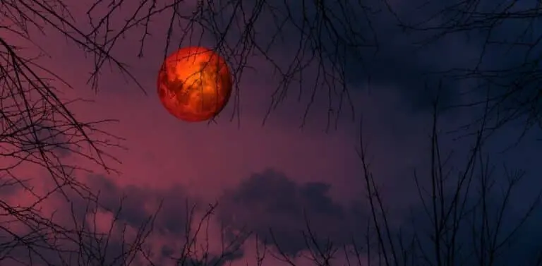 Lua de sangue
