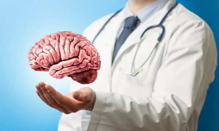 Médico neurologista, Cérebro