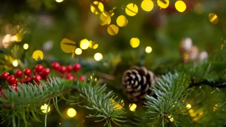Natal, enfeites de Natal
