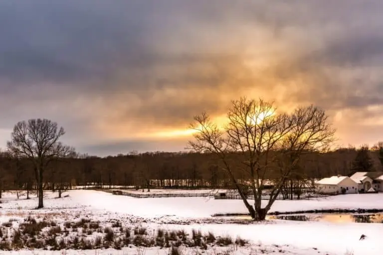 Neve, Nevasca, New Jersey