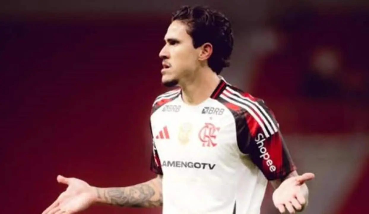 Pedro Flamengo