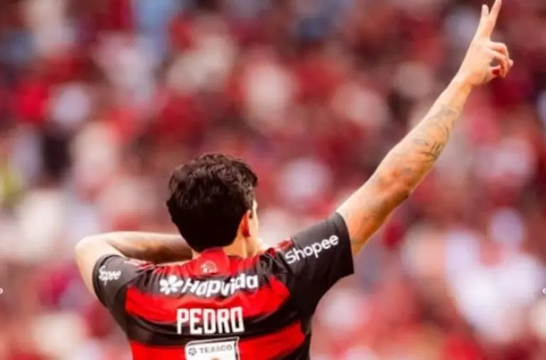 Pedro - Flamengo