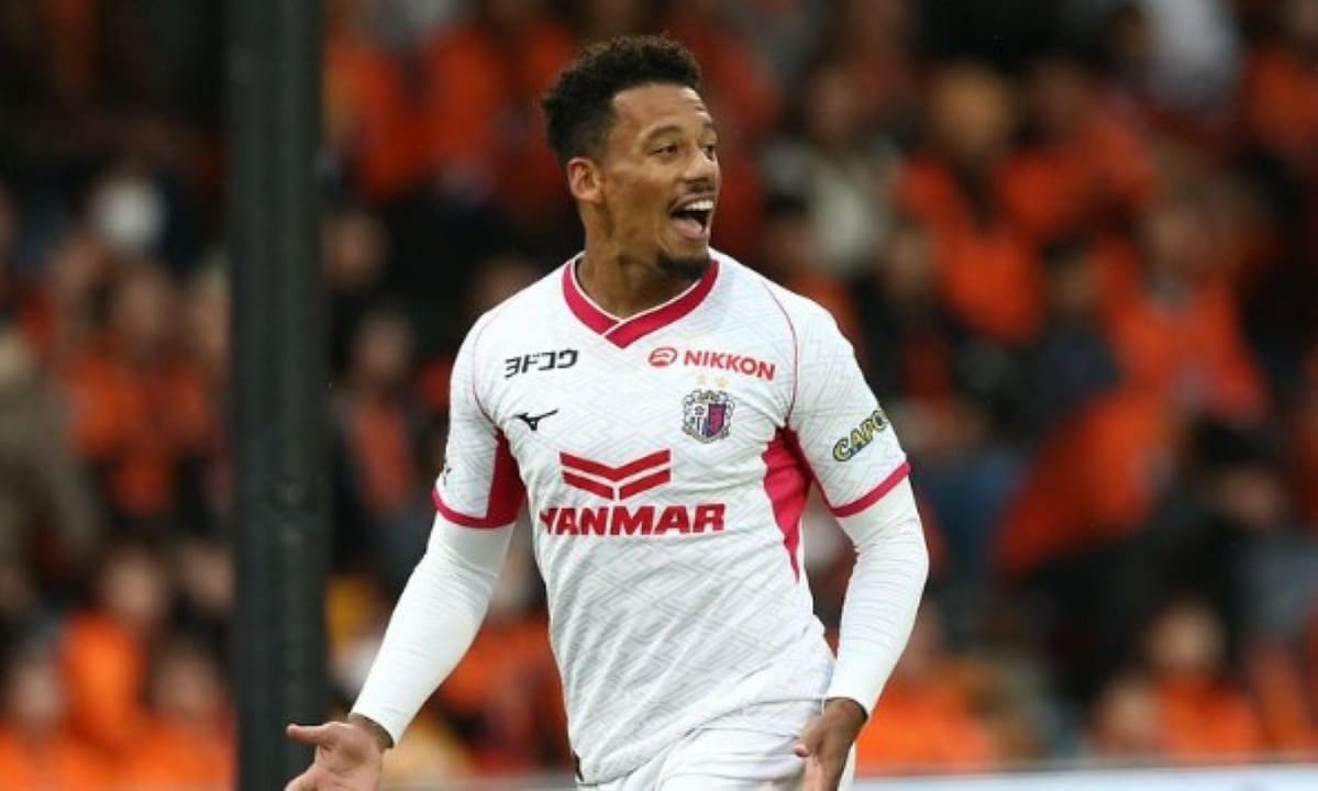 Rafael ratão