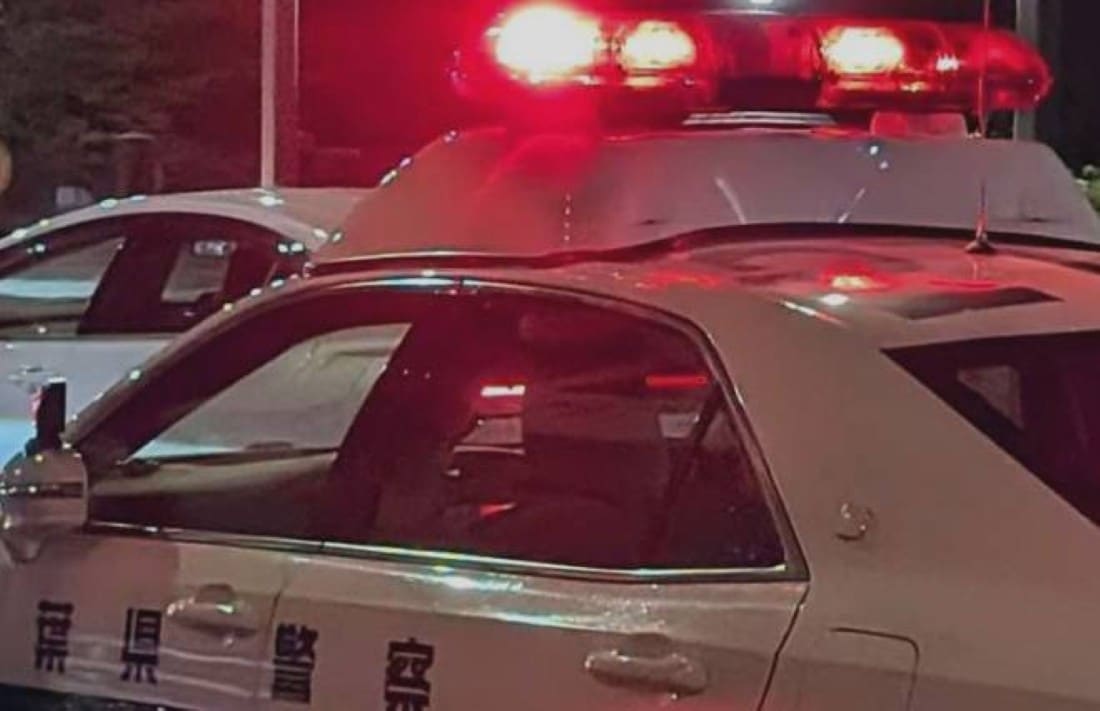 Tokyo Internet Policia