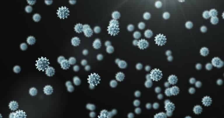 Virus