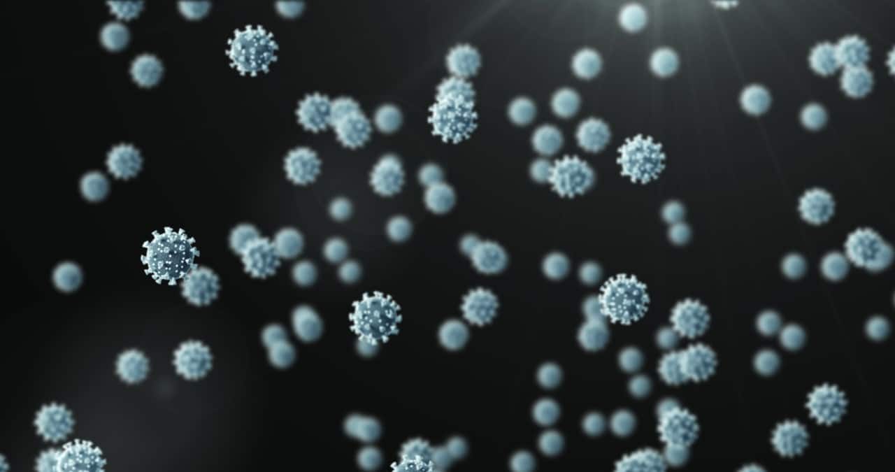 Virus 