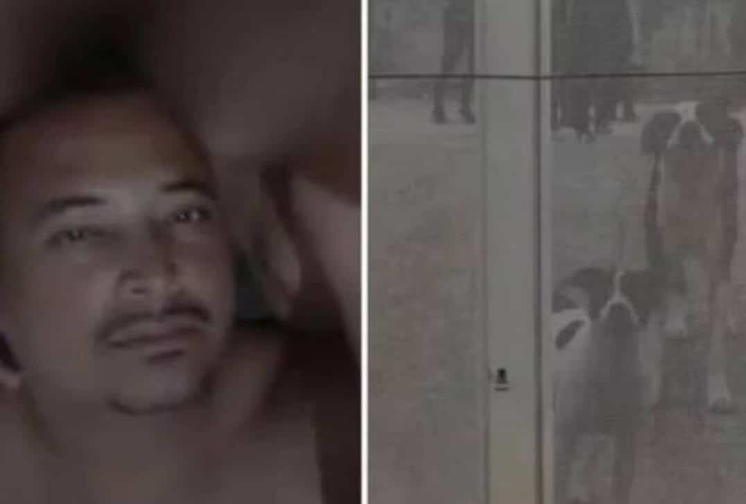 Vitima de 10 caes