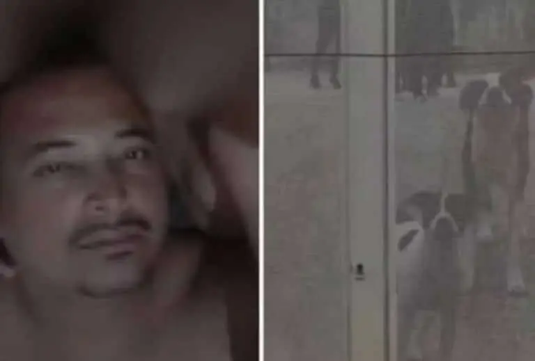 Vitima de 10 caes