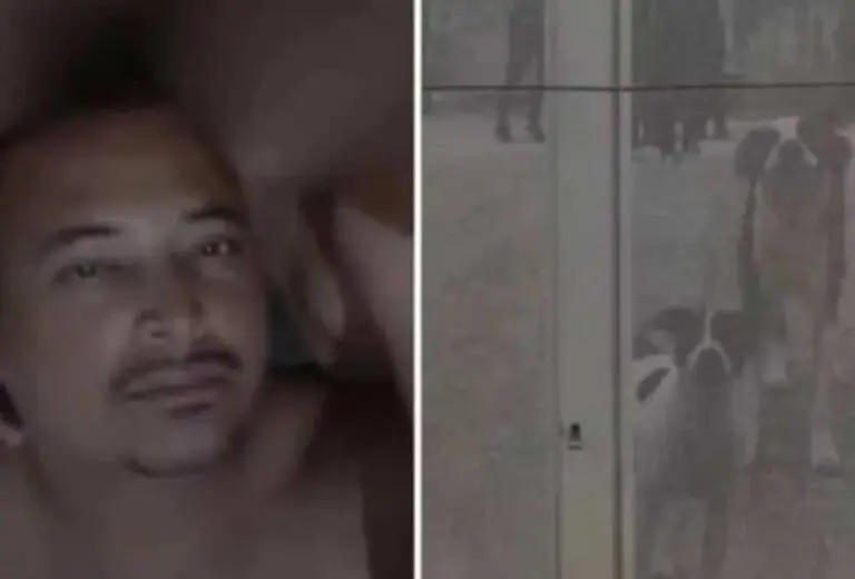 Vitima de 10 caes
