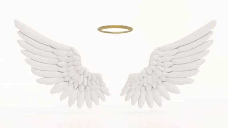 asas de anjo