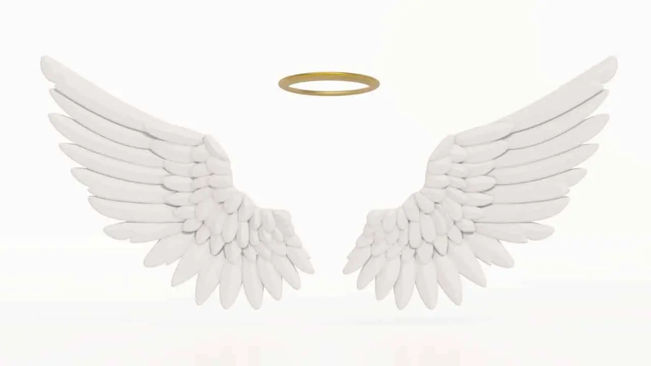 asas de anjo