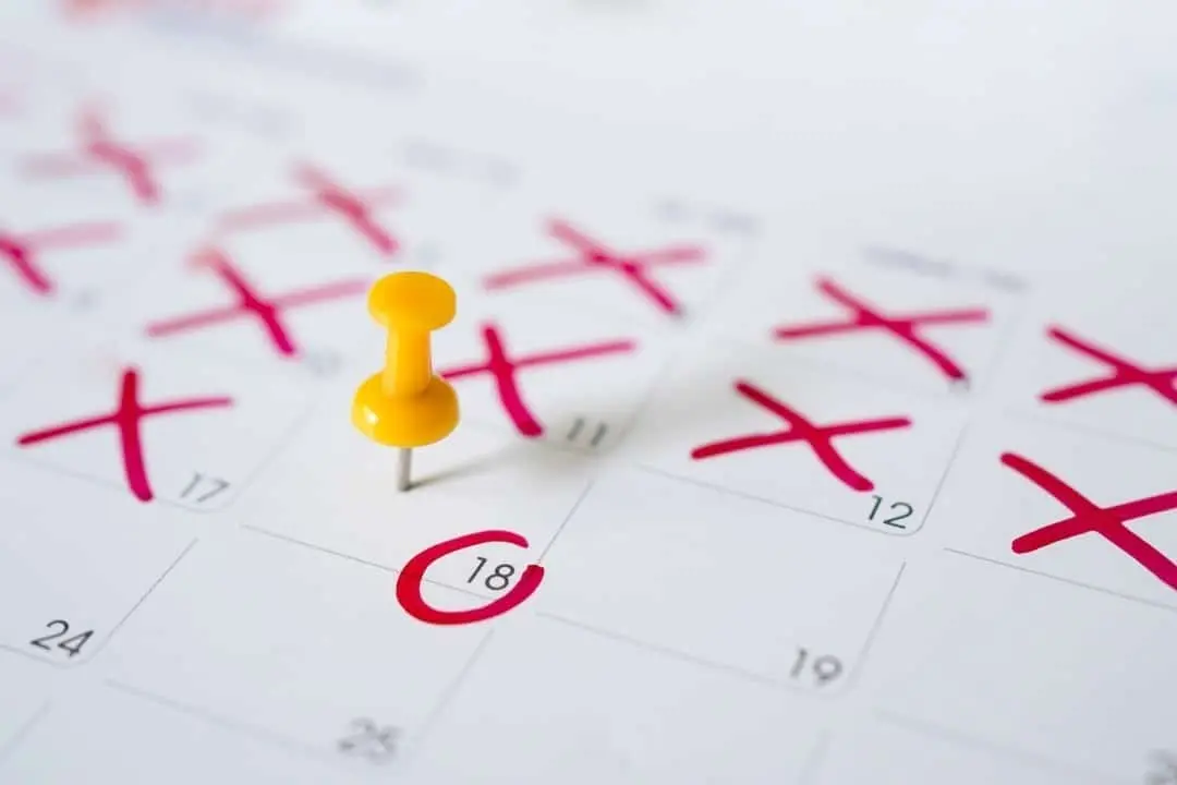 calendário