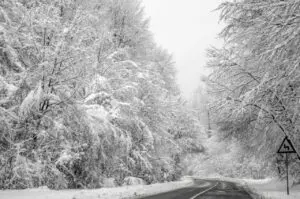 Wann findet die Wintersonnenwende statt? Der kürzeste Tag des Jahres 2025 kommt im Dezember