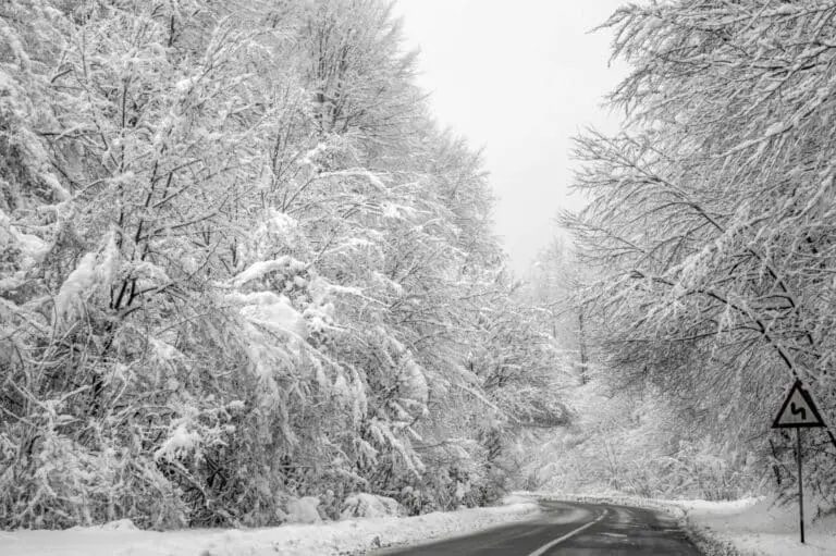 inverno