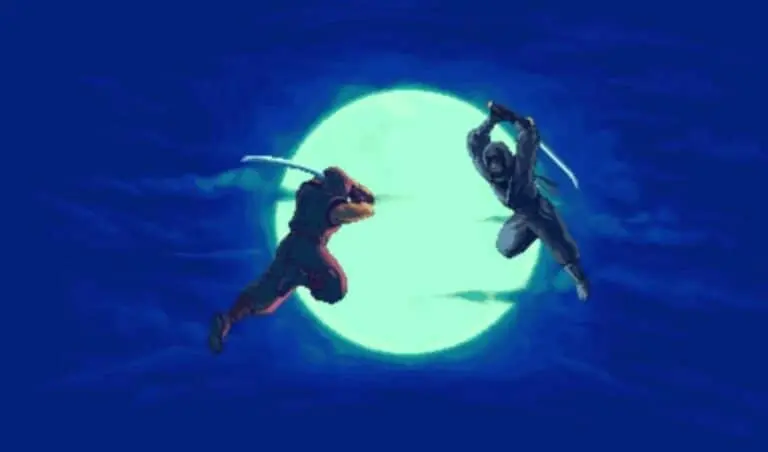 Ninja Gaiden