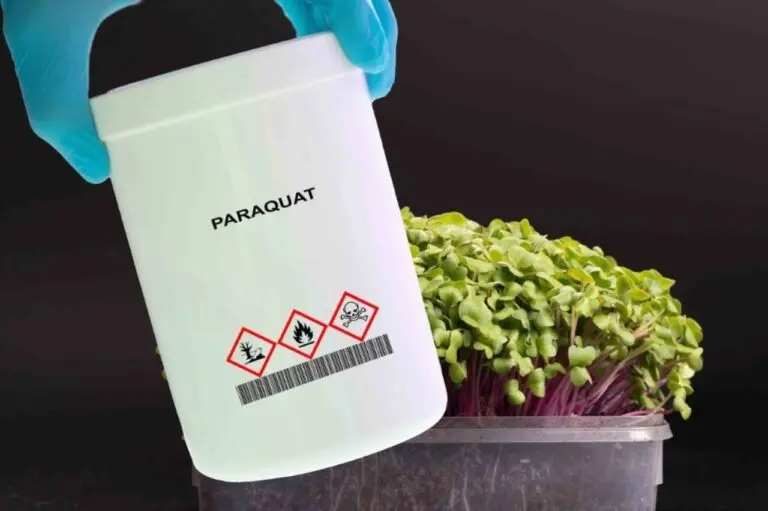 paraquat
