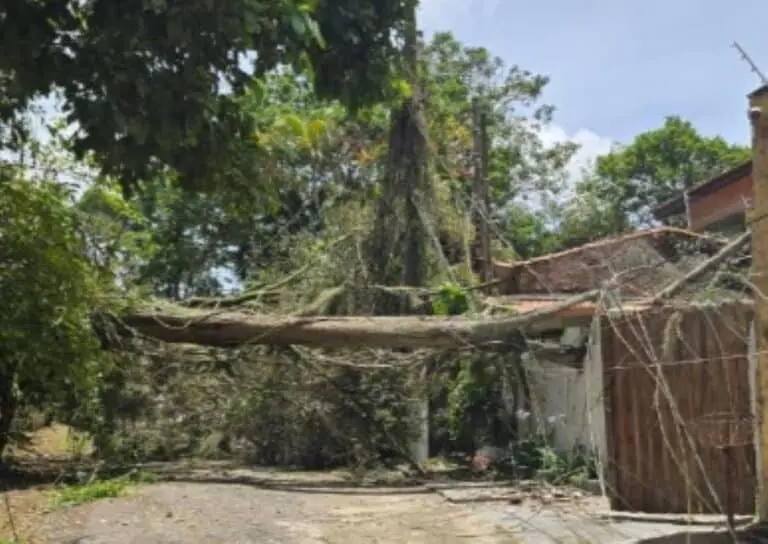 vendaval em São Paulo