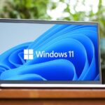 windows 11