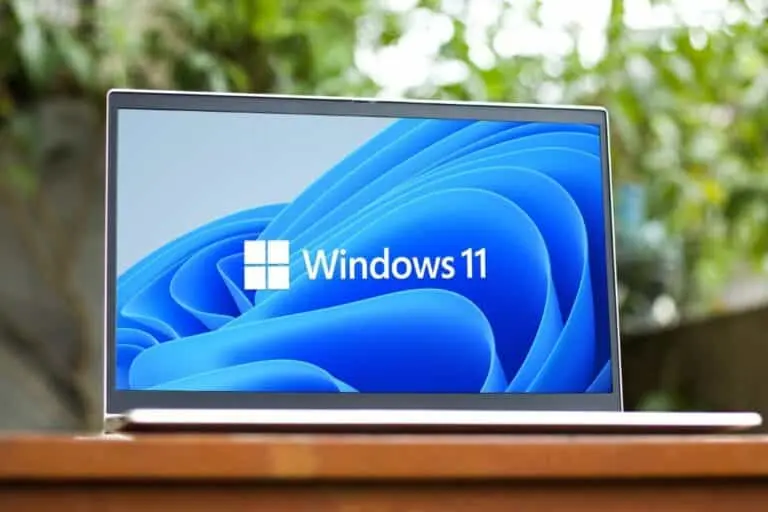 windows 11