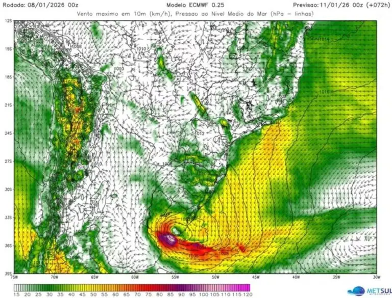 Ciclone extratropical 08.01