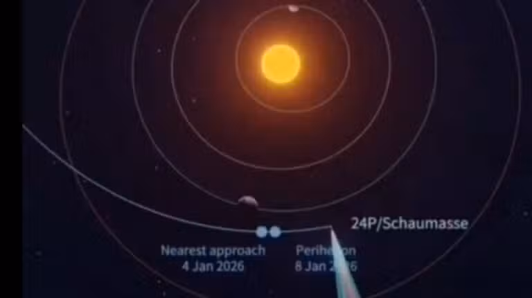 Cometa periódica 24P/Schaumasse