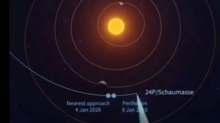 Cometa periódica 24P/Schaumasse