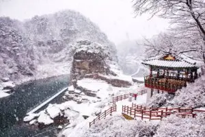 韓国は気温がマイナス20度まで下がり、複数の地域で大雪となる厳しい寒波に直面している