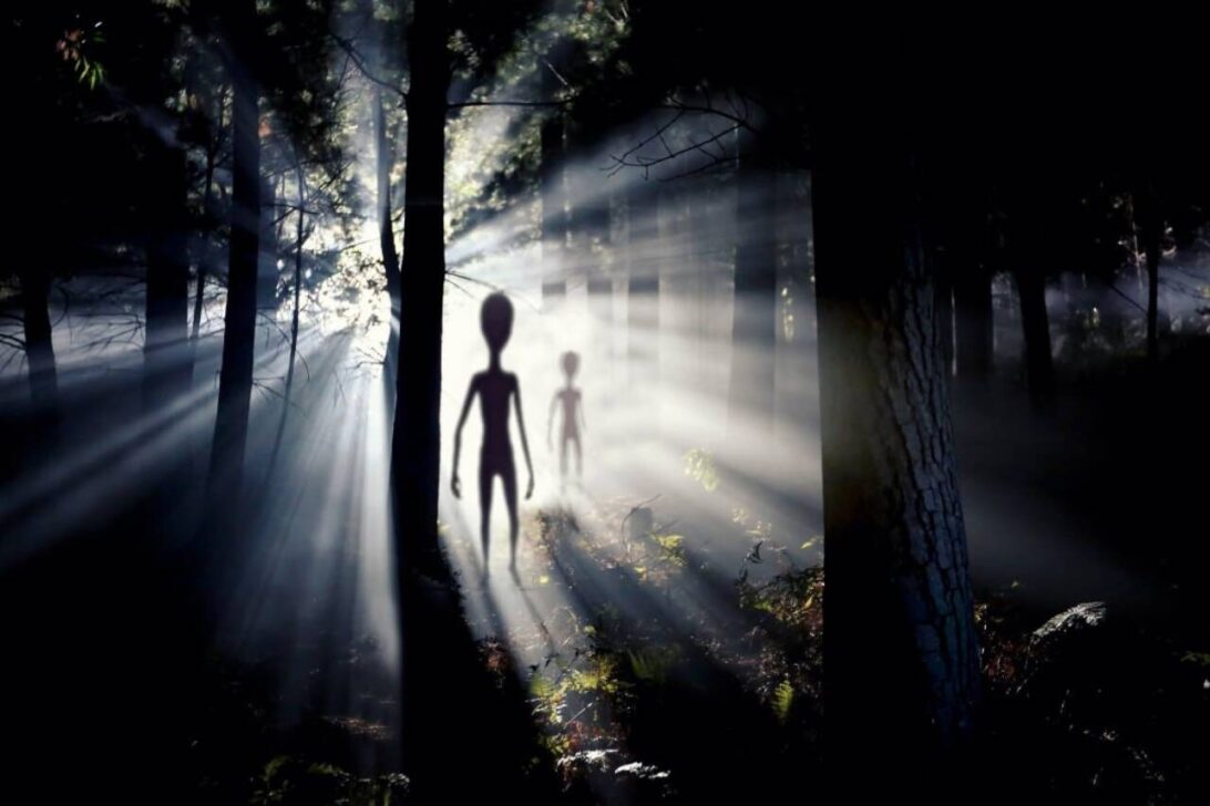 Figura alienigena turva e luz, E.T, Floresta