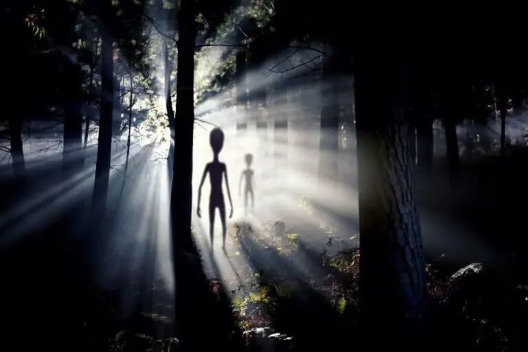 Figura alienigena turva e luz, E.T, Floresta