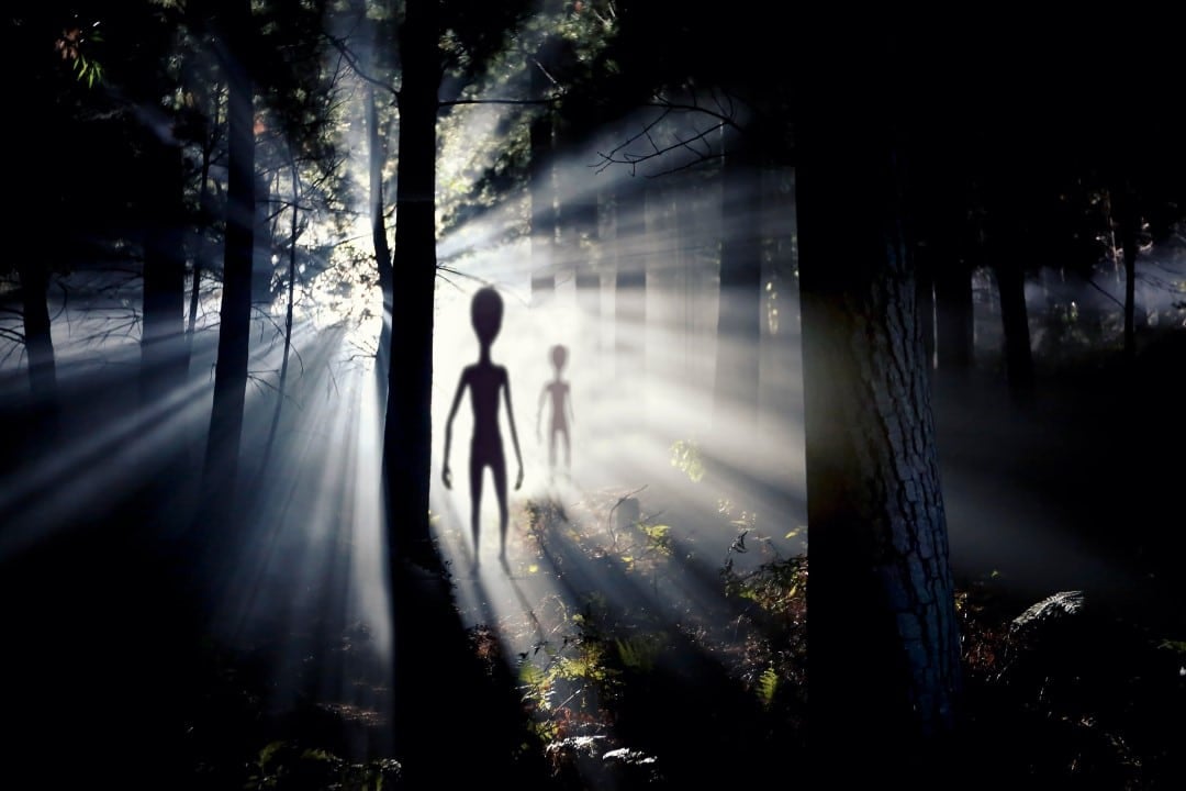 Figura alienigena turva e luz, E.T, Floresta