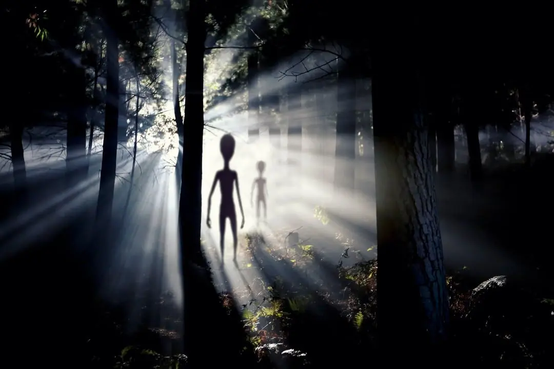 Figura alienigena turva e luz, E.T, Floresta